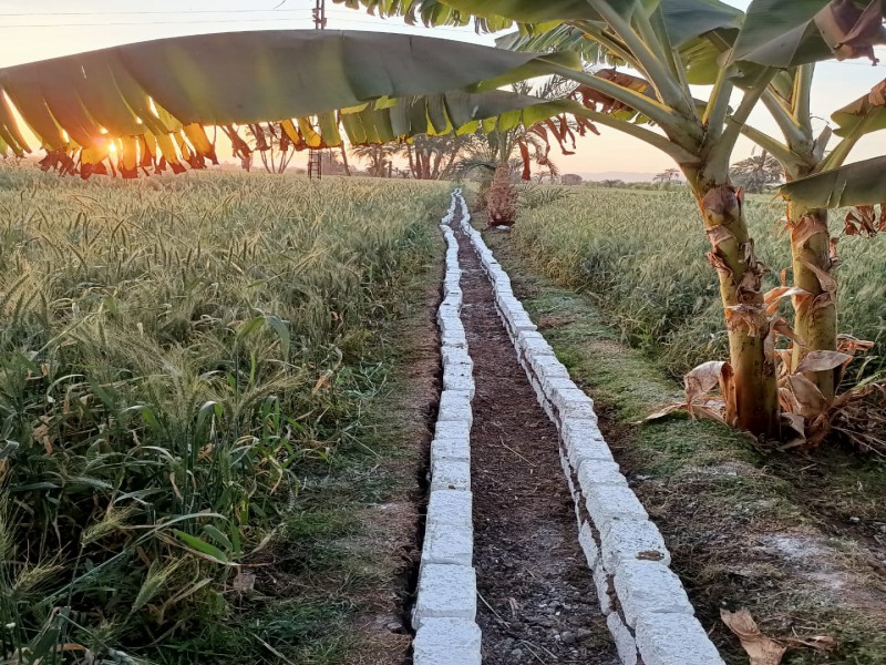 Improve the efficiency of irrigation canals in the villages of the Naqada