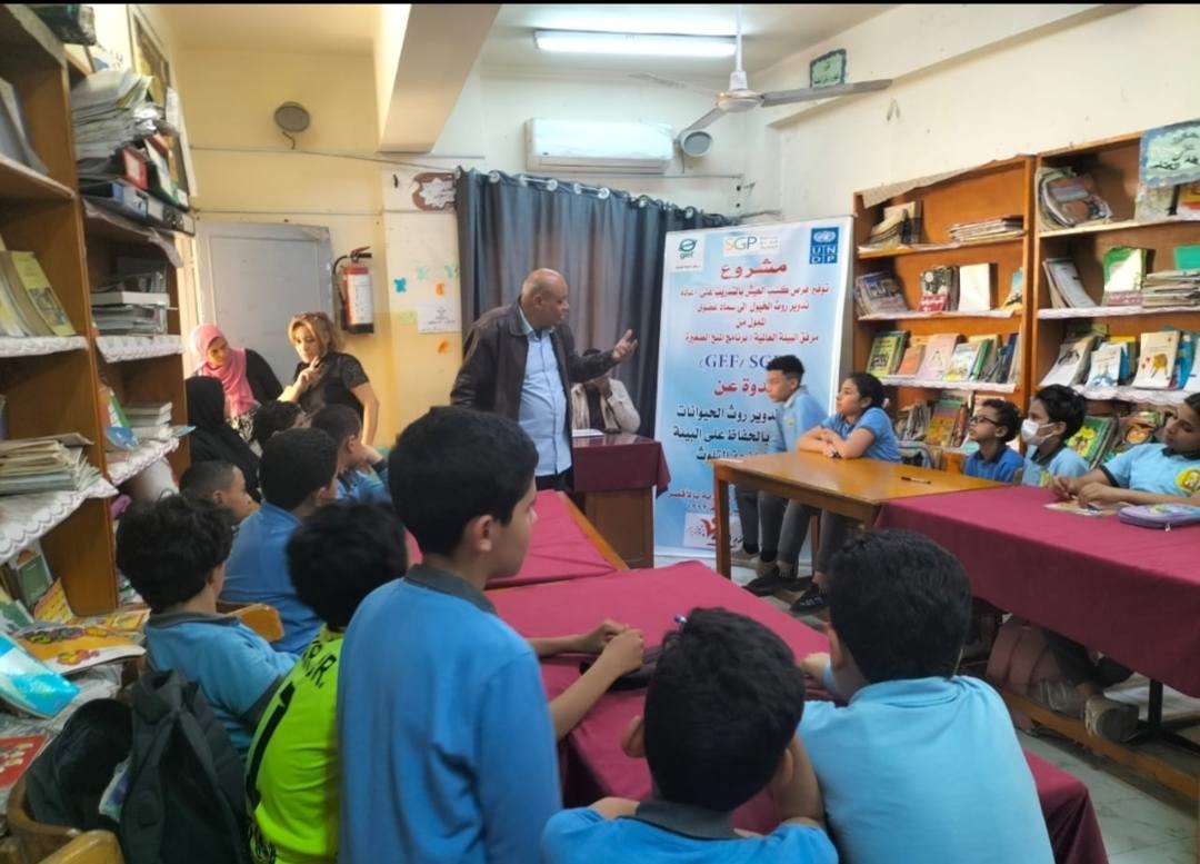 «روث الخيول» من عبء على شوارع الأقصر إلى أداة لتمكين المجتمع وحماية البيئة