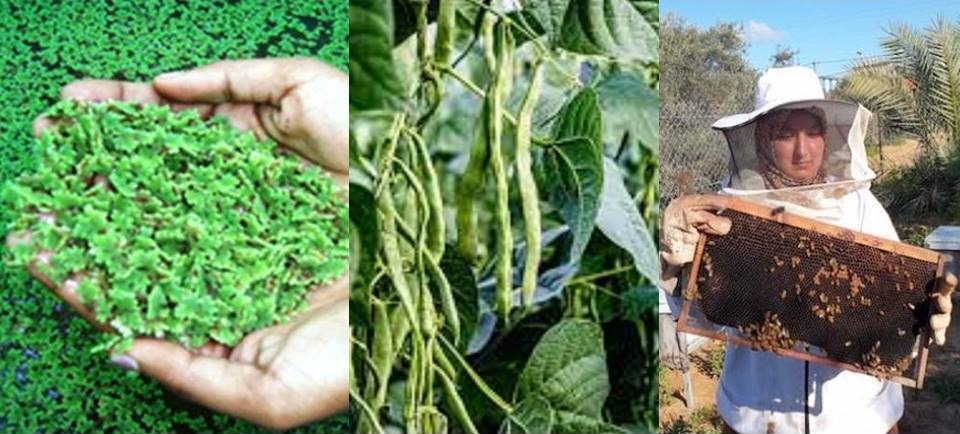 The Small Grants Programme Advances Its Seventh Phase with Funding for Nine New Projects