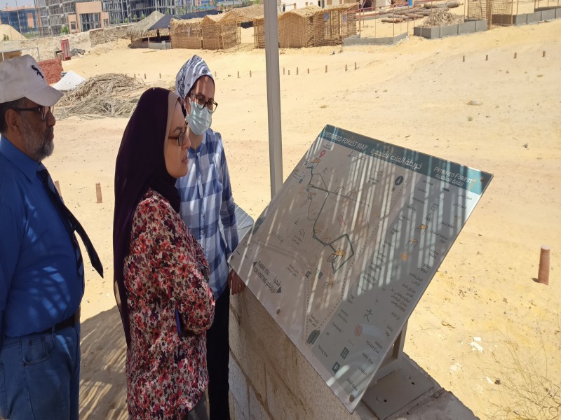 نموذج أولي معياري لتحويل النفايات الصلبة المحلية إلى إيثانول لاستبدال الرصاص في البنزين (EG-PP-15)